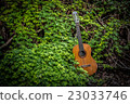 classic guitar on wood background with green leaf 23033746