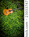 classic guitar on wood background with green leaf 23033747