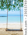 Swing hang from the tree over beach 23033749