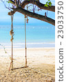 Swing hang from the tree over beach 23033750