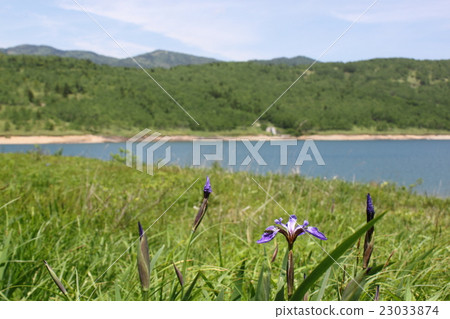 Landscape landscape 23033874