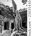 Ta Prohm temple, Angkor Wat, Cambodia 23035430