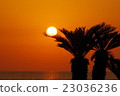夕陽 23036236