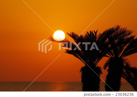 夕陽 23036236