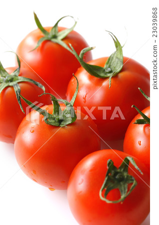Tomato   23039868