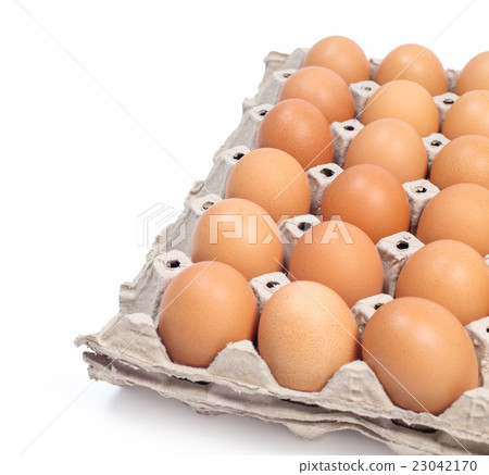 eggs pack panel ingredient prepare for food eggs pack panel ingredient prepare for food 23042170