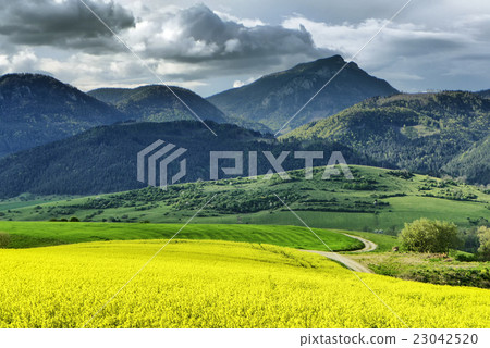 Hill Choc, Slovakia 23042520