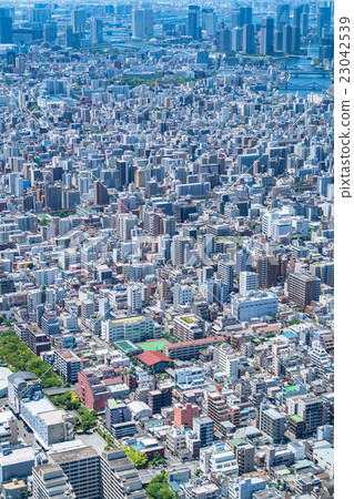 Residential area in Tokyo 23042539