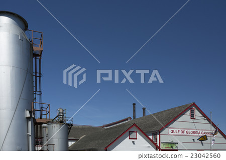 加拿大溫哥華史蒂夫頓 加拿大溫哥華史蒂夫頓 23042560