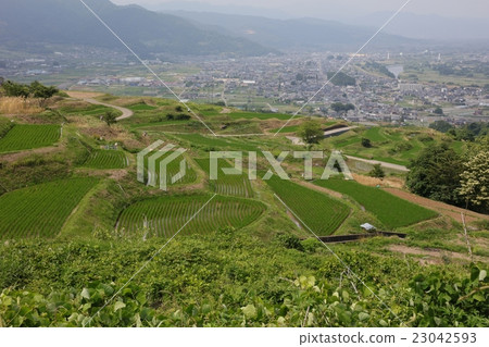 Rice terraces of Shinshu abandonment Rice terraces of Shinshu abandonment 23042593