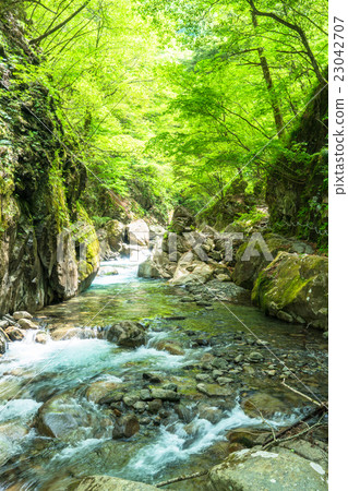 生態形象·森林和清澈的溪流 23042707
