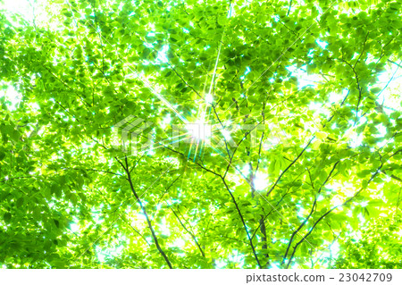 Fresh green eco image Fresh green eco image 23042709