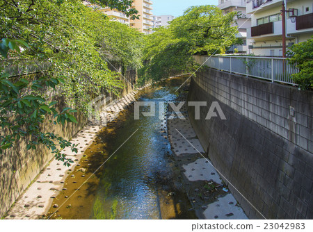 Kanda River seen from Otaki Bridge (Nakano Ward, Tokyo) 23042983
