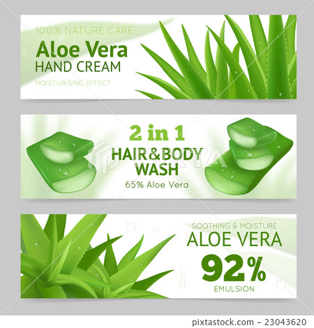 Horizontal Aloe Vera Banners Horizontal Aloe Vera Banners 23043620