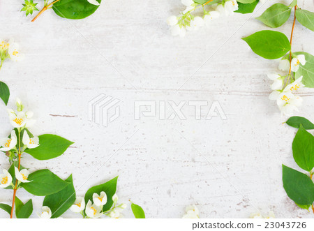 Jasmine flowers on wooden table Jasmine flowers on wooden table 23043726