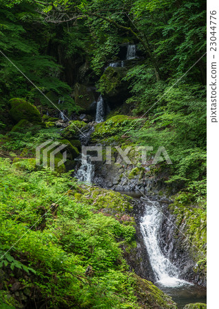 Waterfall and fresh green (Ehime Prefecture white wild boar waterfall) 23044776