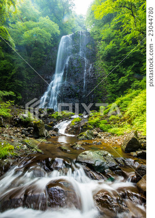 Waterfall and fresh green (Ehime Prefecture white wild boar waterfall) 23044780