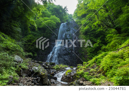 Waterfall and fresh green (Ehime Prefecture white wild boar waterfall) Waterfall and fresh green (Ehime Prefecture white wild boar waterfall) 23044781