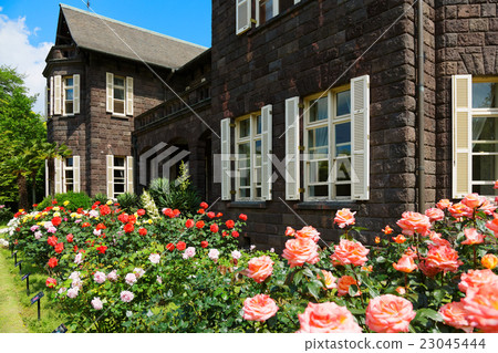Flower and Western-style building of colorful roses of old Furukawa garden 23045444