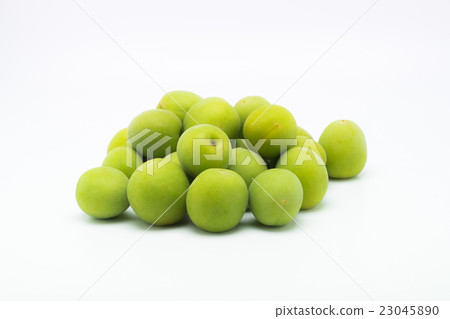 Plum Fruit (Ome) Multiple 23045890
