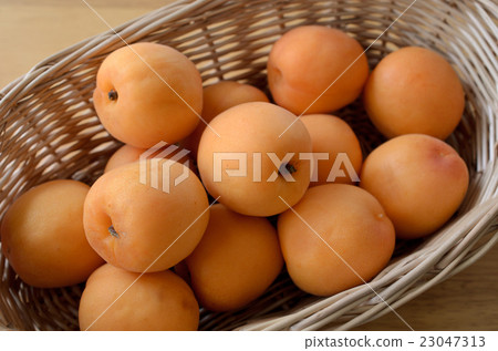 Apricots Apricots 23047313