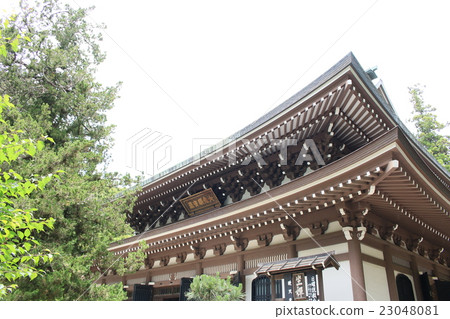 Ferrant of the fresh green 23048081