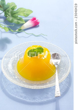 果凍 23048419