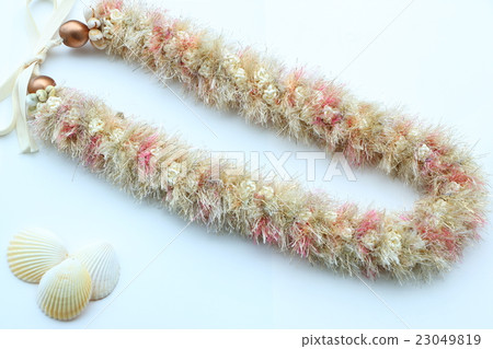 Hawaiian Ribbon Ray Hawaiian Ribbon Ray 23049819