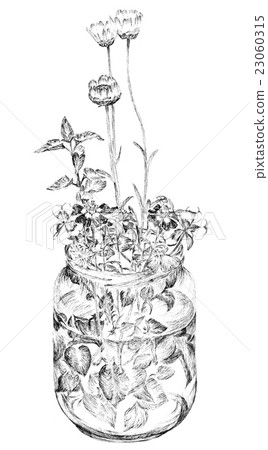 Illustration of flower pen drawing in a bottle Illustration of flower pen drawing in a bottle 23060315
