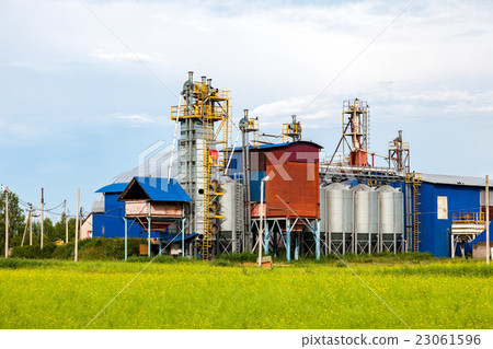Factory processing of grains and cereals 23061596