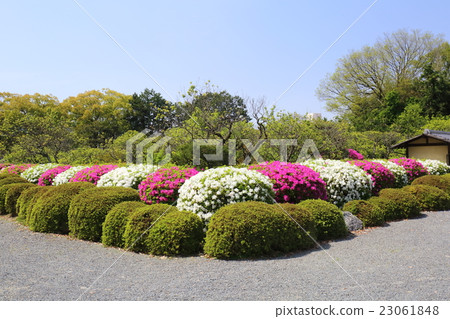 Kyudoin in Kyoto early summer 23061848