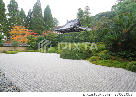 京都秋天的Nogyoji寺長花園 23062098