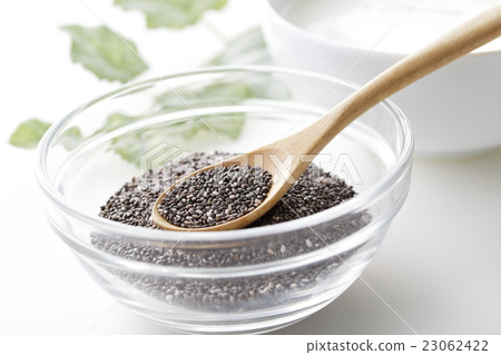 Black Cheer Seed 23062422