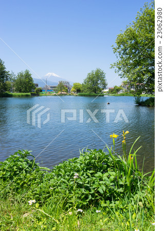 Nakacho hot water pond and Mt. Fuji 23062980