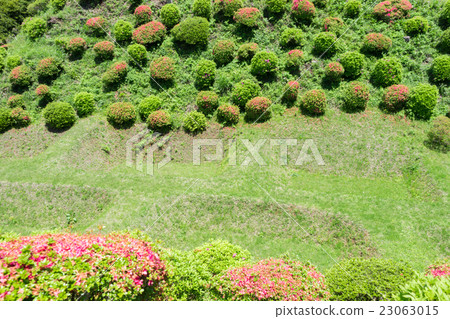 Yamanaka Castle Shoji Shoji moat 23063015