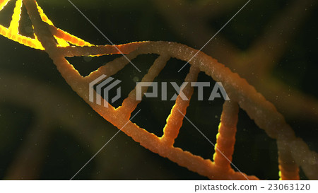 3d Model Of Dna Structure Stock Illustration