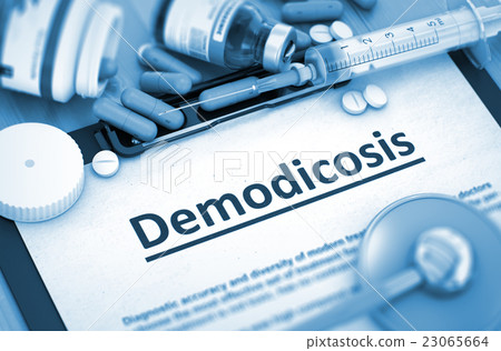 Demodicosis. Medical Concept. 23065664