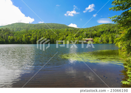 水廠和白川池 水廠和白川池 23066198