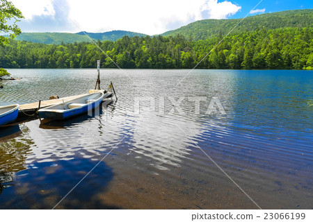 在Shirakomane池塘的碼頭 23066199