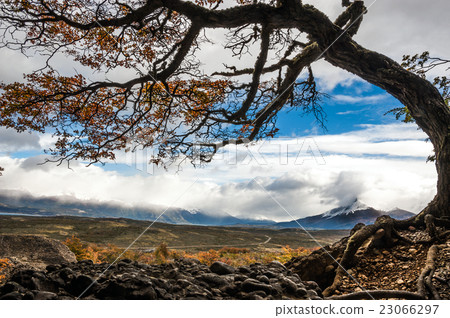 Autumn in Patagonia. The Torres del Paine Autumn in Patagonia. The Torres del Paine 23066297