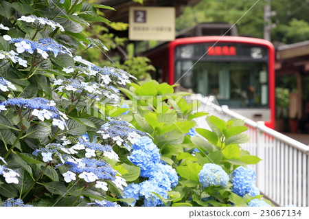 Hakone Tozan Railway in early summer 23067134