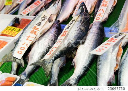 Hakodate morning market (Hokkaido - Hakodate city) 23067750