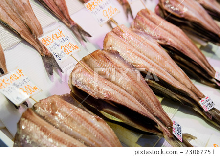 函館早市（北海道 - 函館市） 23067751