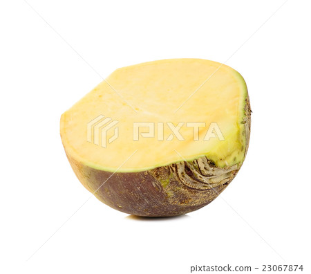 Swede isolated on the white background Swede isolated on the white background 23067874