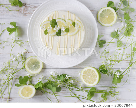 白色的血管和霜凍 23067944