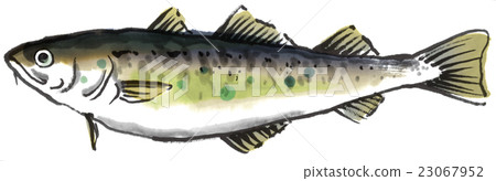 Fish under ice 23067952