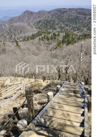 Tanzawa主路樹路和看法 Tanzawa主路樹路和看法 23068007