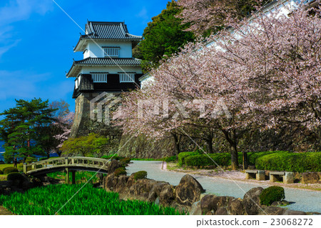 大村公園的櫻花 大村公園的櫻花 23068272
