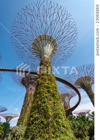 Singapore Gardens by the Bay 23068869