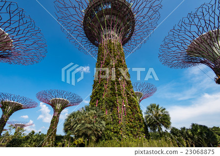 Singapore Gardens by the Bay 23068875